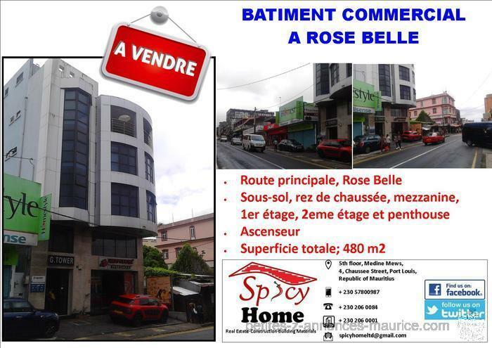 Batiment Commercial a Vendre Rose Belle