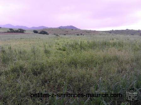 Terrain a Vendre Route Principale Riambel, Surinam