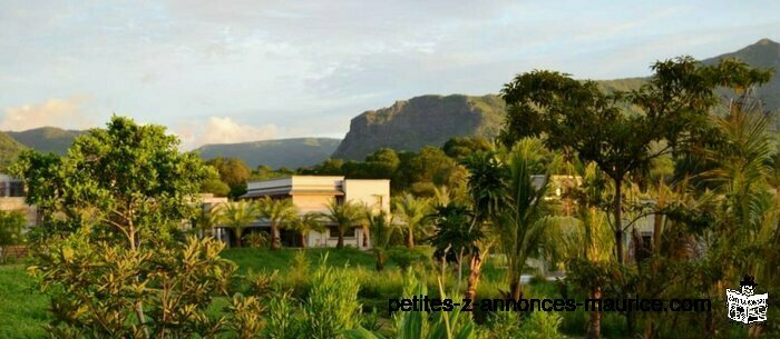 LARGE IRS MOUNTAIN VIEW LANDS FOR SALE IN THE HEART OF NATURE IN RIVIERE NOIRE