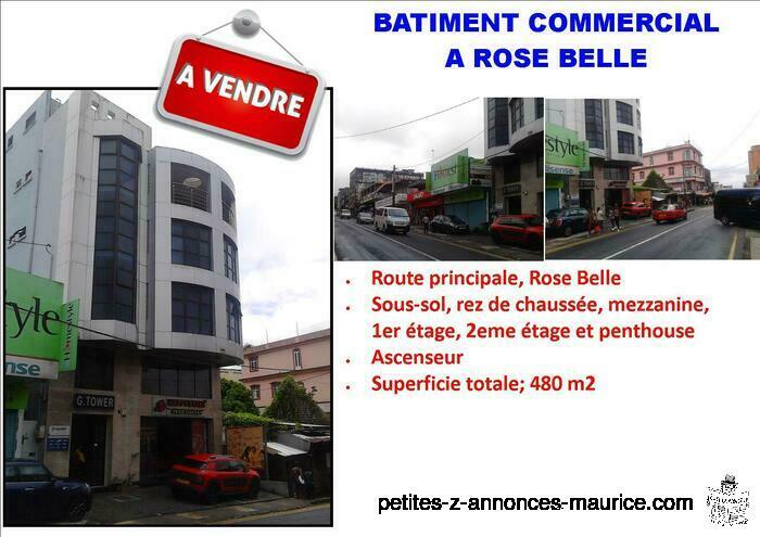 Batiment Commercial a Vendre Rose Belle