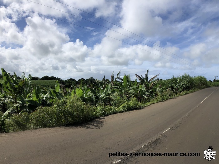 Terrain Agricole - 1 arpent - Clemencia ( Route Royale)