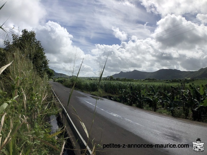 Agricultural land 1 acre on Main Road - Clemencia