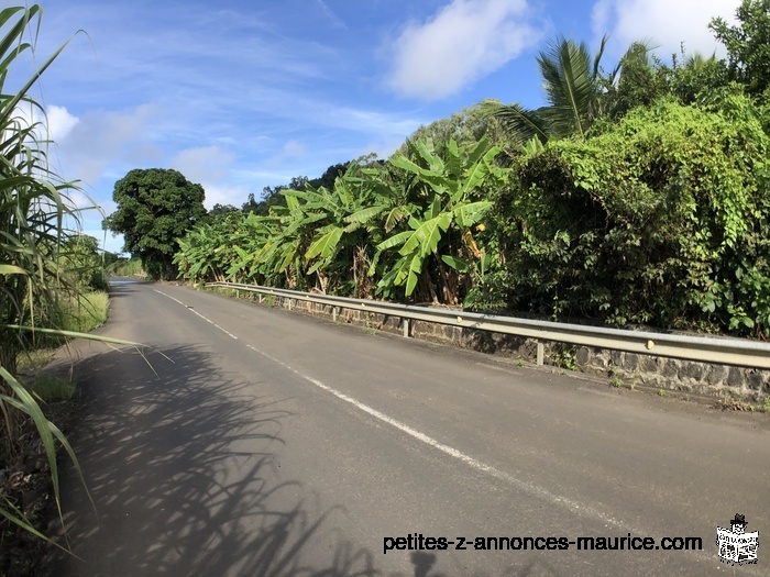 Terrain Agricole - 1 arpent - Clemencia ( Route Royale)