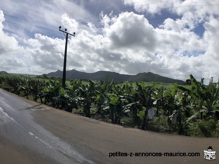 Terrain Agricole - 1 arpent - Clemencia ( Route Royale)