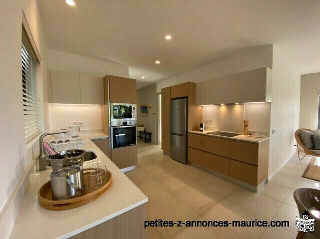 BEAUTIFUL NEW MODERN APARTMENT NEAR SEA IN POINTE AUX CANONNIERS - MAURITIUS