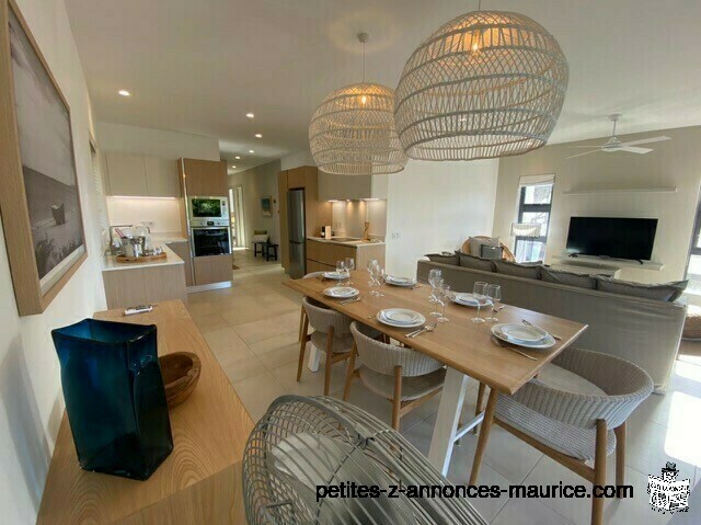 BEAUTIFUL NEW MODERN APARTMENT NEAR SEA IN POINTE AUX CANONNIERS - MAURITIUS