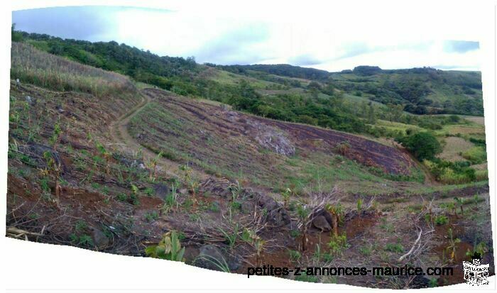 BEAU TERRAIN DE 8921 m2 A JURANCON - SURINAM