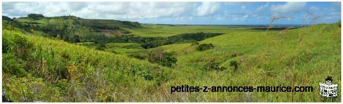 BEAU TERRAIN DE 8921 m2 A JURANCON - SURINAM