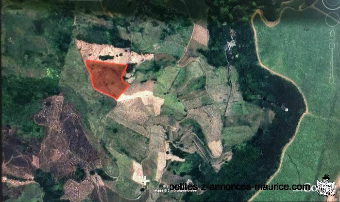 BEAU TERRAIN DE 8921 m2 A JURANCON - SURINAM