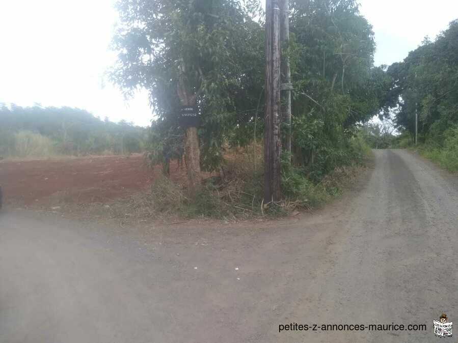 Land for sale