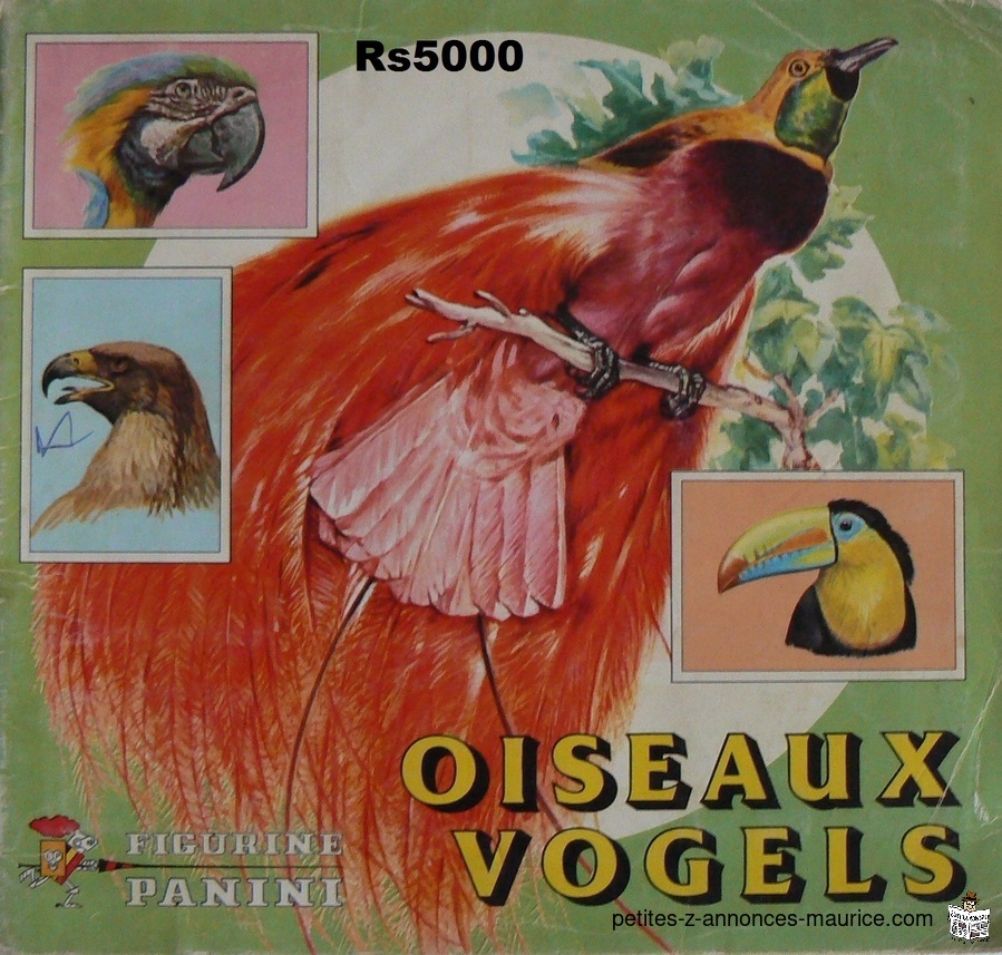 ALBUM PANINI DES ANNÉES 70s