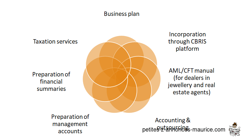 Accounting, tax and outsourcing services