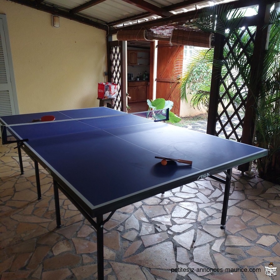 Table de ping pong