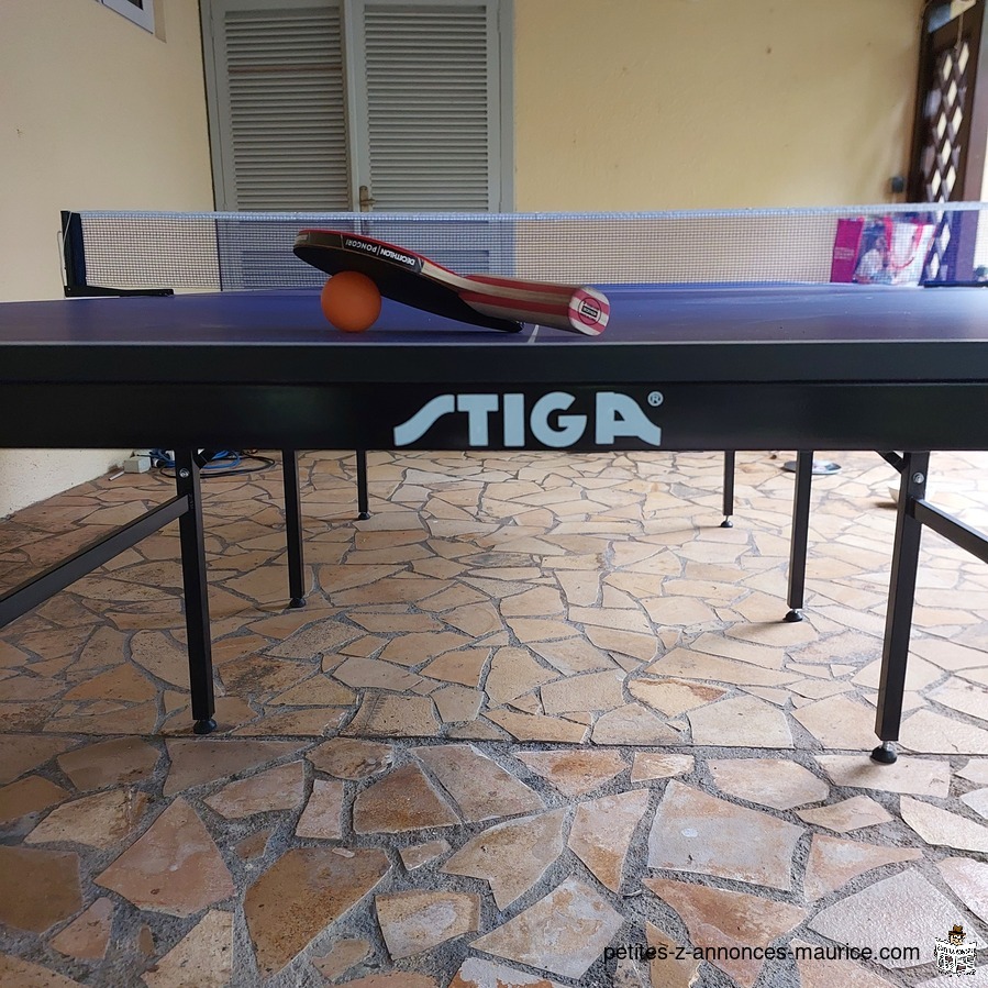 Table de ping pong