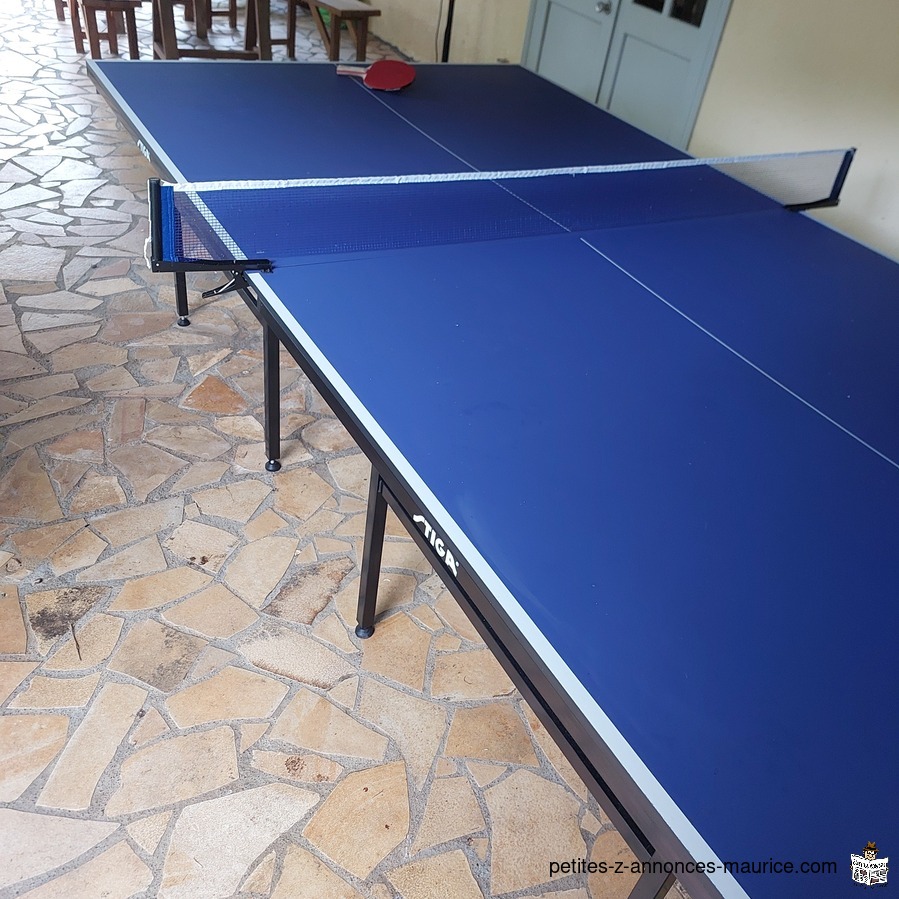 Table de ping pong