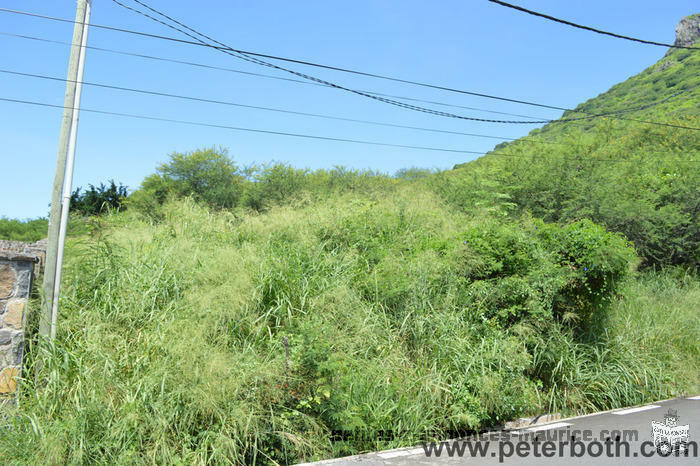 FOR SALE LAND AT TAMARIN