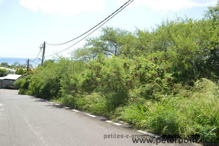 FOR SALE LAND AT TAMARIN