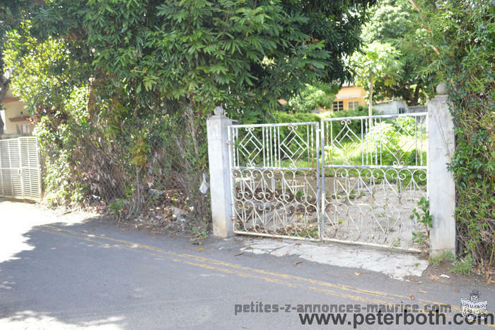 A VENDRE TERRAIN A ROSE HILL