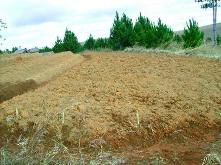 Terrain agricole proche Antananarivo