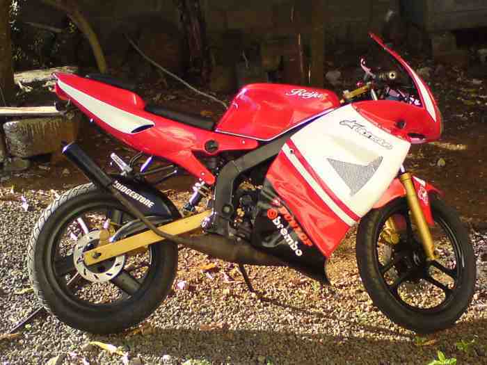 vends moto reiju rs50