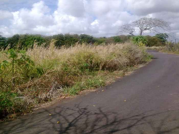 Terrain @ Poste de Flacq