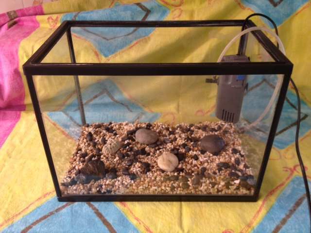 A vendre - Petit aquarium avec pompe