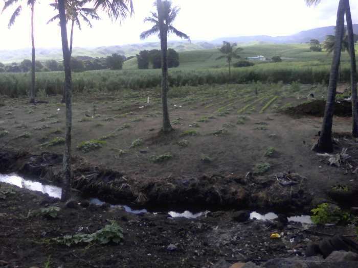 Terrain pied dans l'eau