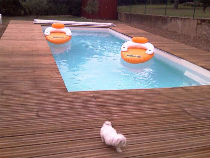 Piscine moins chere