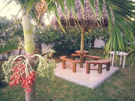 CALODYNE LOCATION MEUBLEE - BELLE VILLA STANDING F8, PISCINE ET JARDIN TROPICAL.