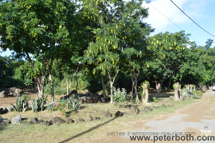 A VENDRE TERRAIN A CALODYNE