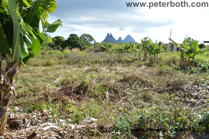 A VENDRE TERRAIN A VACOAS