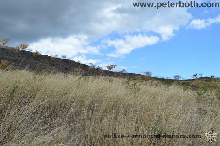 A VENDRE TERRAIN A COROMANDEL (MORCELLEMET CHAPMAN`S VIEW)