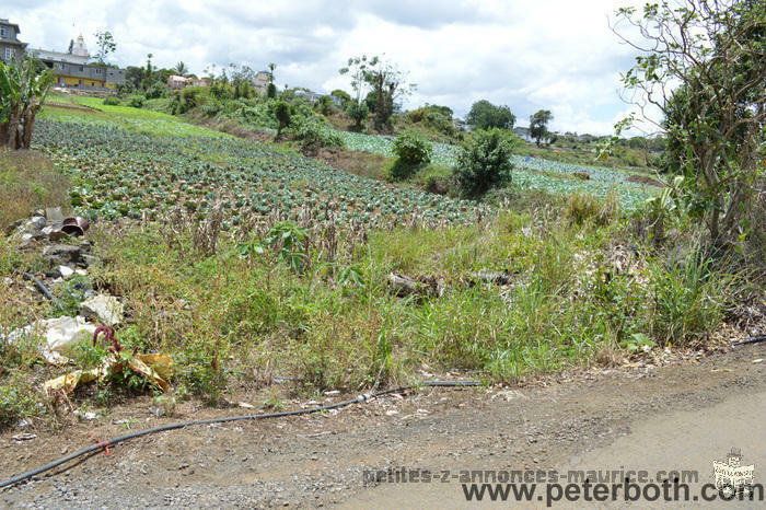 A VENDRE TERRAIN A CARREAU LALIANE VACOAS