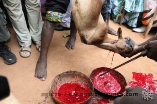 Grand marabout féticheur sorcier dit papa sauveur rapide et éfficacité tous vos poblème resoudre