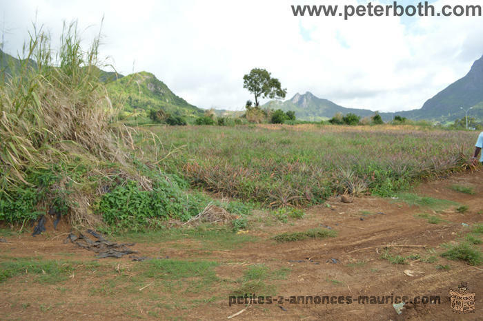 LAND FOR SALE AT MONTAGNE LONGUE