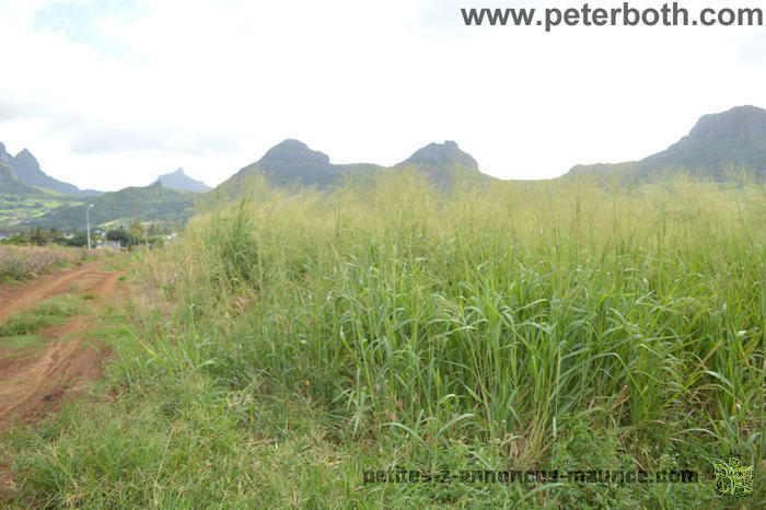 LAND FOR SALE AT MONTAGNE LONGUE