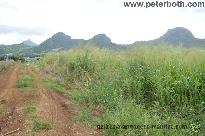 A VENDRE TERRAIN A MONTAGNE LONGUE