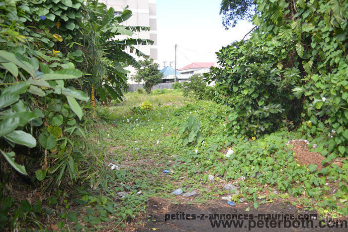 A VENDRE TERRAIN A CUREPIPE