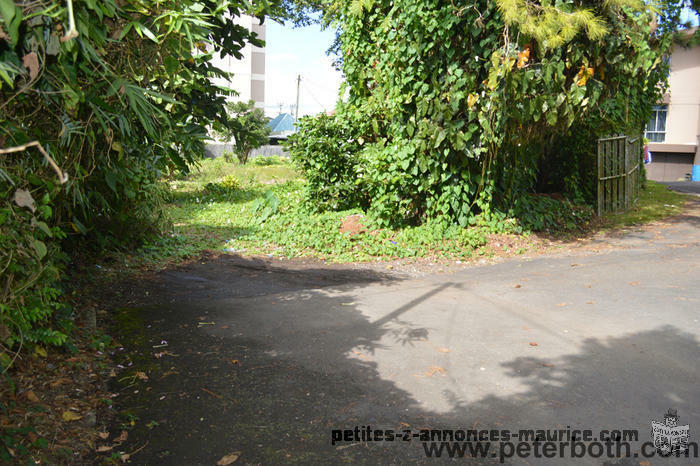 FOR SALE LAND AT CUREPIPE