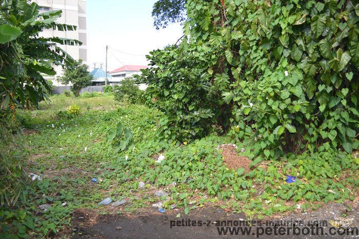 A VENDRE TERRAIN A CUREPIPE