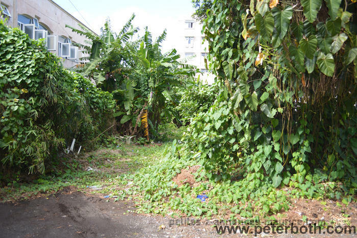 FOR SALE LAND AT CUREPIPE