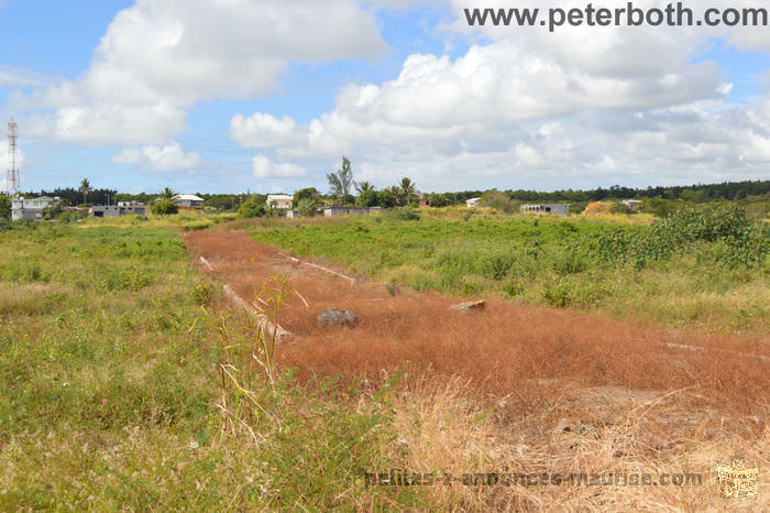 A VENDRE TERRAIN AGRICOLE A PETIT RAFFRAY