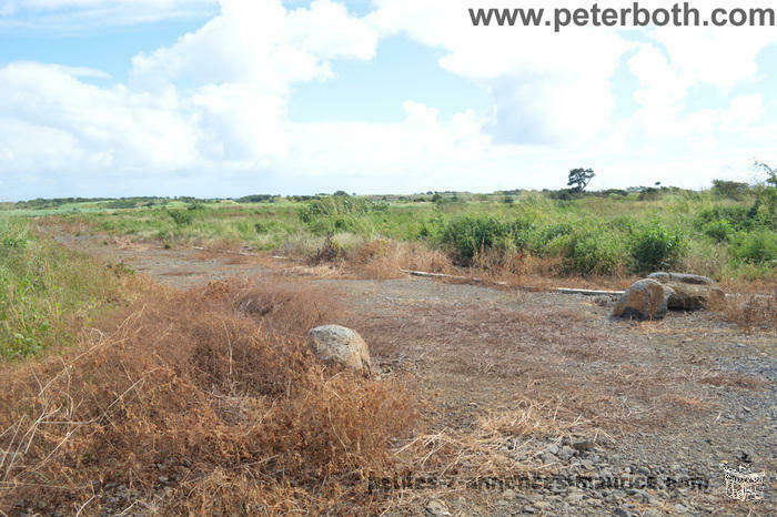 A VENDRE TERRAIN AGRICOLE A PETIT RAFFRAY