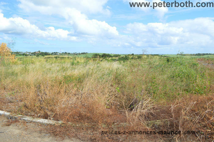 A VENDRE TERRAIN AGRICOLE A PETIT RAFFRAY