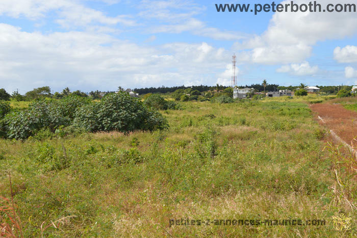 A VENDRE TERRAIN AGRICOLE A PETIT RAFFRAY