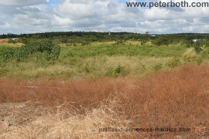 A VENDRE TERRAIN AGRICOLE A PETIT RAFFRAY