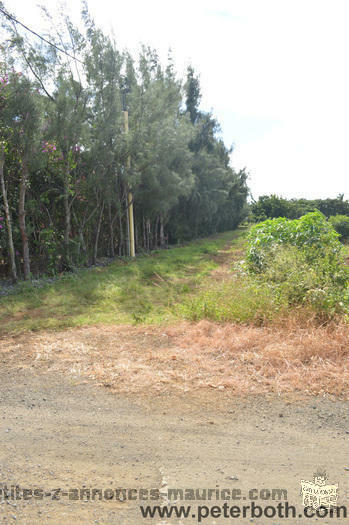 A VENDRE TERRAIN AGRICOLE A PETIT RAFFRAY