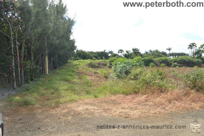 A VENDRE TERRAIN AGRICOLE A PETIT RAFFRAY