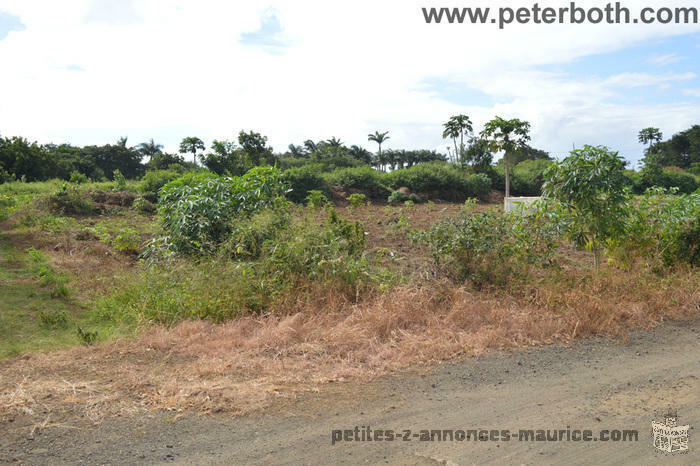 A VENDRE TERRAIN AGRICOLE A PETIT RAFFRAY