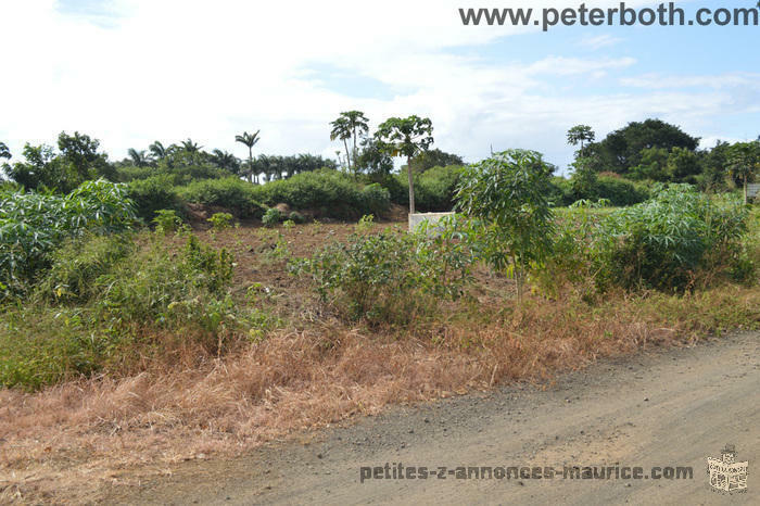 A VENDRE TERRAIN AGRICOLE A PETIT RAFFRAY